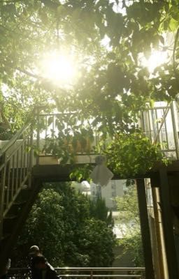 MÙA HÈ ẤY TA CHƯA KỊP LỚN