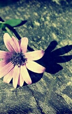 My Little Things