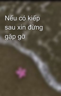 Nếu có kiếp sau xin đừng gặp gỡ 