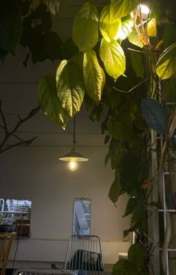 ngày ấy tôi từng thích cậu