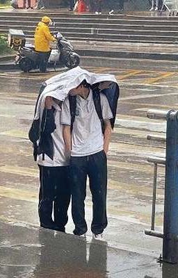 Ngô Đồng 