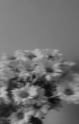 (NgocVu) Giữ Em Lại 