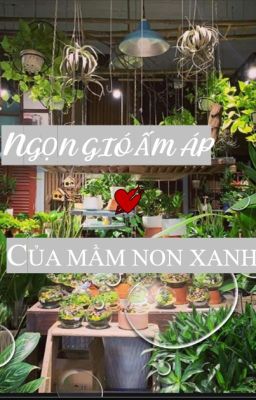 Ngọn gió ấm áp của mầm non xanh ( Rimba x Beliung )    (   Boboiboy   )