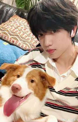 [ Nguyên Thụy] [ Yuanrui] THẤY MÙA XUÂN 