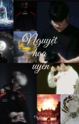 Nguyệt Hoa Uyển | On2eus |
