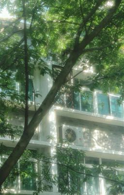 Nhã Huy | tình trường