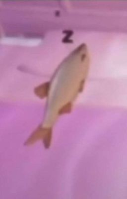 nhắc em sức thuốc