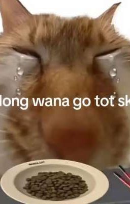 Nhật Ký Trong Giai Đoạn Hấp Hối Của A