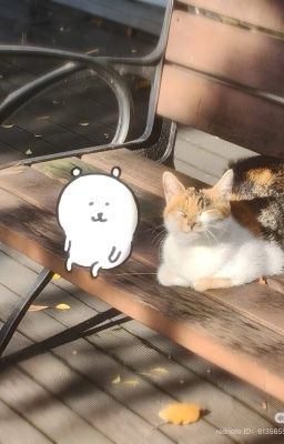 NHƯNG EM LÀ PHƯỚC LÀNH CỦA ANH