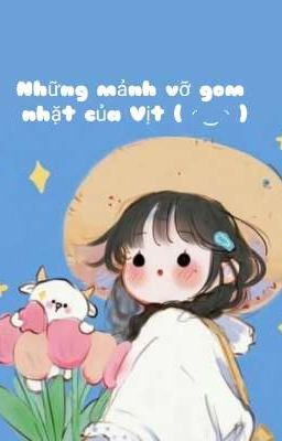 NHỮNG MẢNH VỠ GOM NHẶT CỦA VỊT!