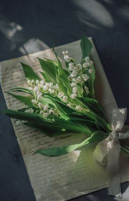 Những Mẩu Chuyện Nửa Vời