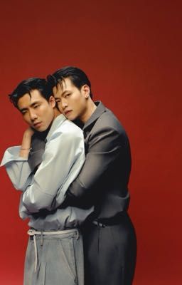 [ Ninh Dương Story ] Mèo Con Không Say