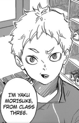 Nishinoya Yui và Haikyu