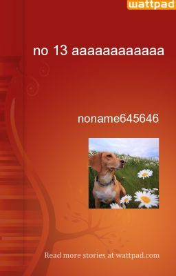 no 13 aaaaaaaaaaaa