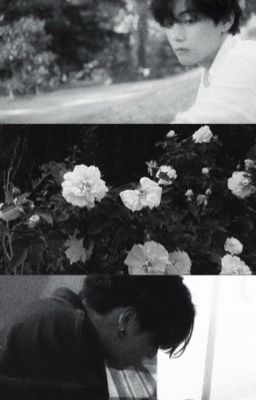 Nở một cuộc tình, tàn một đời hoa | Taekook |