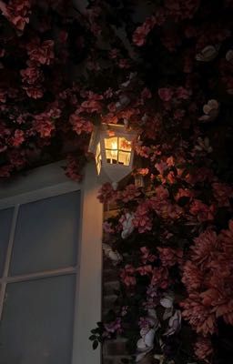 [ Nơi tôi nói về sự thất vọng ]