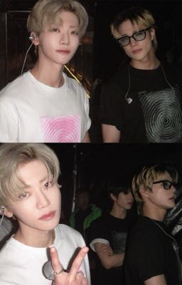 nomin | backburner