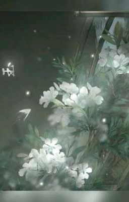 Ôn Thẩm Minh-Triệu Cảnh Ngôn