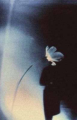 on2eus ft.lsh | những đứa trẻ dũng mãnh