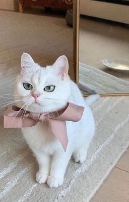 On2eus 🖋️ Gia sư