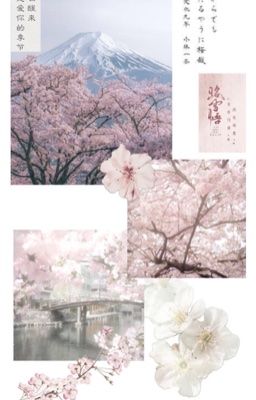 [ On2eus] Hướng Dương