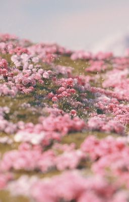 [ON2EUS] KHO BÁU ĐÁNH RƠI.