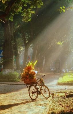 [On2eus] Mùa thu, anh và một giỏ hoa