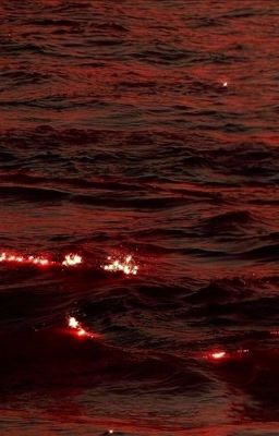 [On2eus] Through The Wave I Saw