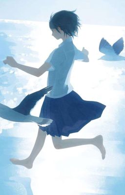 One Piece | Lặng Gió