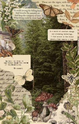 [Oneshort Ngro] Món quà của thần