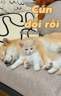 [Oneshot | DoliKznk] Cún dỗi rồi