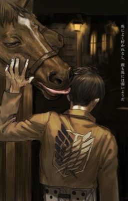 Oneshot | LEVI x READER