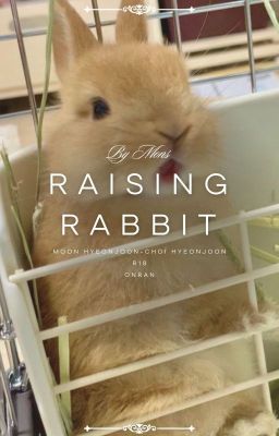 [ Onran ] Nuôi thỏ