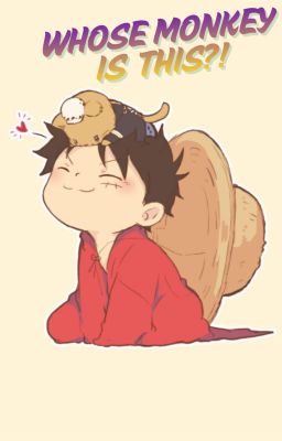 [OP] Con khỉ này là của ai?!