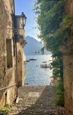 ordain me the summer (vipeus)