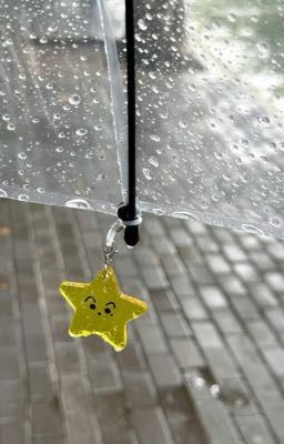 |pđtb| người tin anh không?