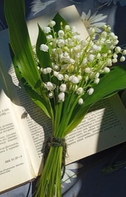 [PhaiNaxa] - Thời gian. 