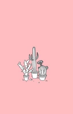 pinkeu corner (っ◕‿◕)っ