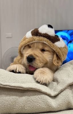 [pondphuwin] em còn nhớ anh không?