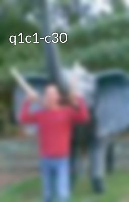 q1c1-c30