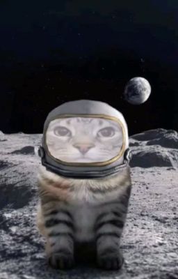 qua muon cho 1 cuoc tinh