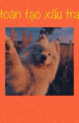 quế toàn ; toàn tạo xấu trai 