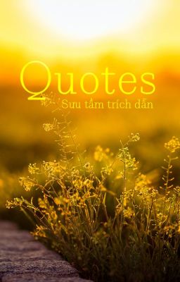 Quotes - Sưu tầm trích dẫn