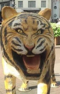 [r18] t.riddle | vivre libre