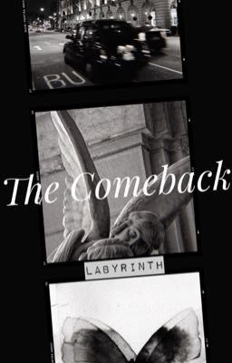 RanMitsu|| The comeback