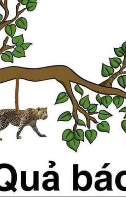 [Reup] [Ngôn Tình] Khinh Ngữ