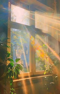 [RIKHUY] THANH XUÂN TA CÓ NHAU