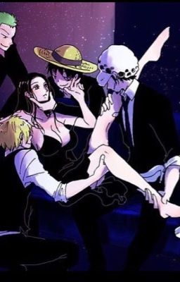 Robin' s Harem ( One piece fanfic )