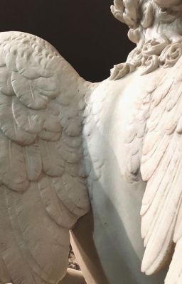 rời xa nhân thế