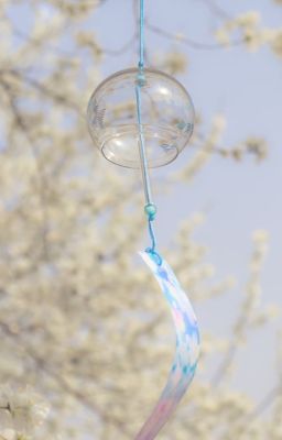 RR | Phong Hoa Tuyết Nguyệt - 风花雪月